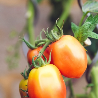 markus-spiske-1UTexFK5FTE-unsplash